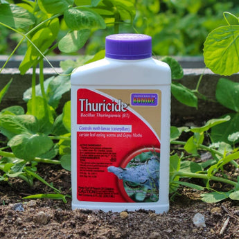 Thuricide - Bacillus Thuringiensis - Garden Supplies