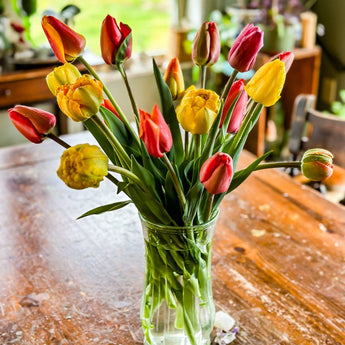 Tulip Cutting Mix - Fall