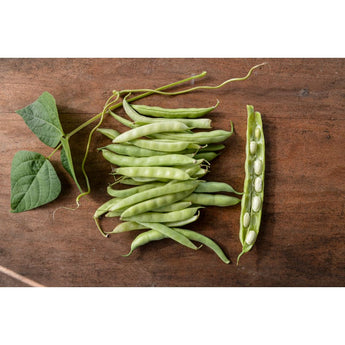 Volunteer Half Runner Bean (60 Days) - Vegetables