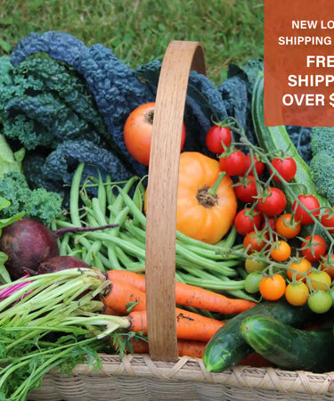 Wooden basket filled with fresh vegetables including lettuce, carrots, tomatoes, broccoli, peppers, and other produce.