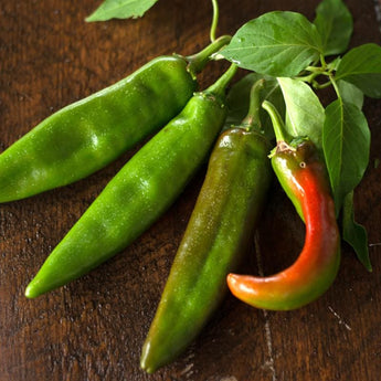 Anaheim Hot Pepper (Heirloom 80 Days) - Vegetables