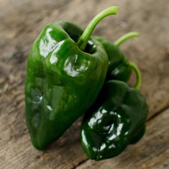 Ancho Hot Pepper (Heirloom 80 Days) - Vegetables