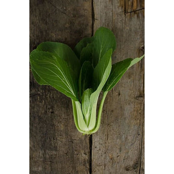 Baby Pak Choi (50 Days) - Vegetables