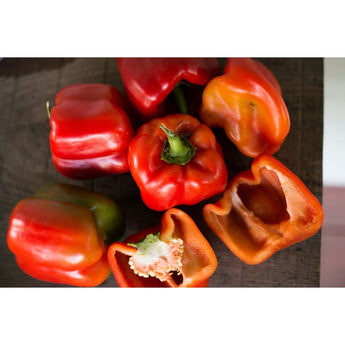 Big Red Pepper (75 Days) - Vegetables