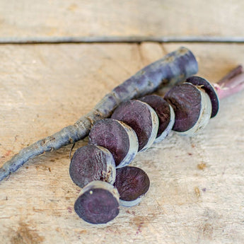 Black Nebula Carrot (70 Days) - Vegetables