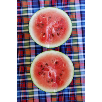 Blacktail Mountain Watermelon (70 Days) - Vegetables