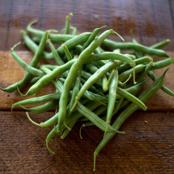 Blue Lake 274 Bush Bean (53 Days) - Vegetables