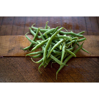 Blue Lake 274 Bush Bean (53 days) - Vegetables