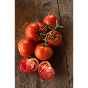 Bonny Best Tomato (Heirloom 72 Days) - Vegetables