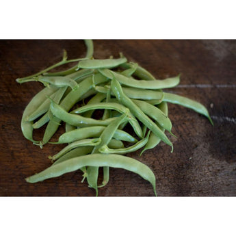 Bountiful Bush Bean (Heirloom 46 Days) - Vegetables