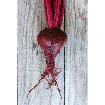 Bulls Blood Beet (Heirloom 50 Days) - Vegetables