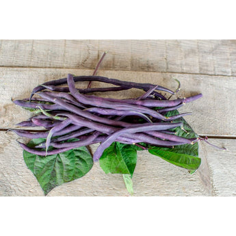 Carminat Pole Bean (56 Days) - Vegetables