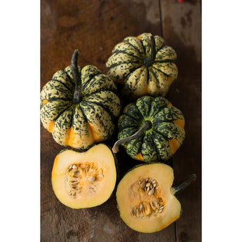 Carnival Winter Squash (F1 Hybrid 85 Days) - Vegetables