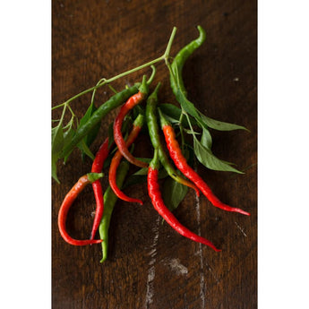 Cayenne-Long Pepper (Heirloom 70 Days) - Vegetables