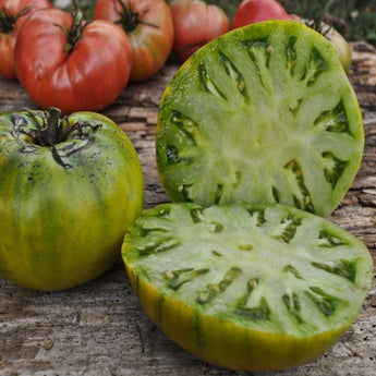 Cherokee Green Tomato (Organic 80 Days) - Vegetables