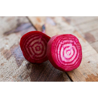 Chioggia Beet (Heirloom 55 Days) - Vegetables