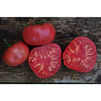 Climbing Triple Crop Tomato (80 Days) - Vegetables