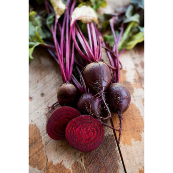 Detroit Beet (Heirloom 63 Days) - Vegetables