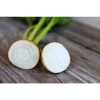 Detroit White Beet (55 Days) - Vegetables