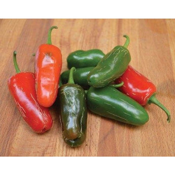 Early Jalapeno Hot Pepper (Heirloom 66 Days) - Vegetables