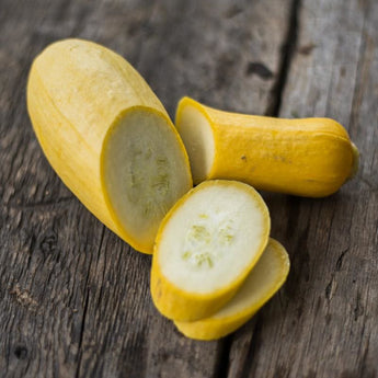 Early Prolific Straightneck Summer Squash (45 Days) - Vegetables