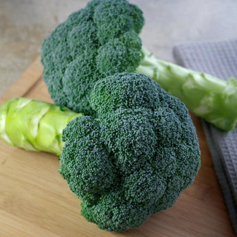 Eastern Magic Broccoli (F1 Hybrid 62 Days)