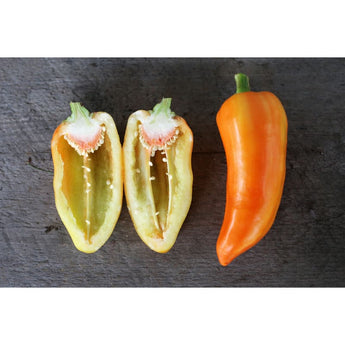 Feher Ozon Paprika Pepper (Heirloom 70 Days) - Vegetables