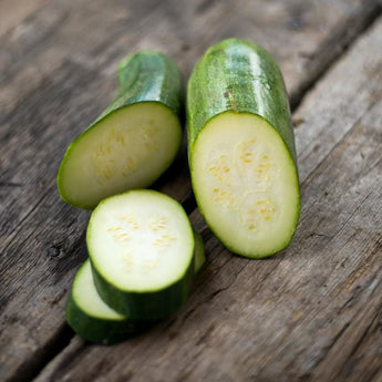 Fordhook Summer Squash (57 Days) - Vegetables