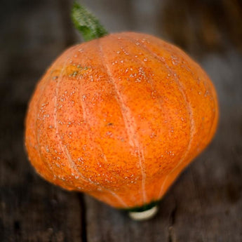 Gold Nugget Squash (95 Days) - Vegetables