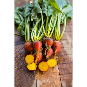 Golden Beet (Heirloom 55 Days) - Vegetables