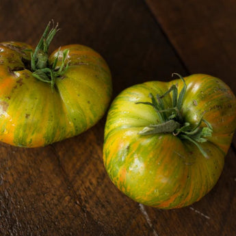 Green Berkeley Tie Dye Tomato (Organic 75 Days) - Vegetables