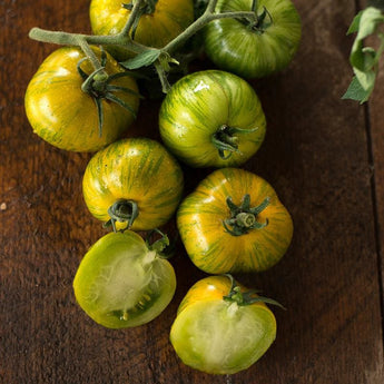 Green Zebra Tomato (Organic 75 Days) - Vegetables