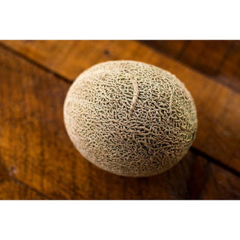 Hales Best Melon (Heirloom 75 Days) - Vegetables