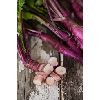 Hinona Kabu Japanese Turnip (40 Days) - Vegetables