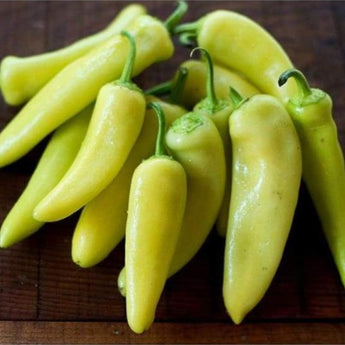 Hungarian Yellow Wax Pepper (65 Days) - Vegetables