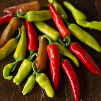 Italian Pepperoncini Pepper (75 Days) - Vegetables