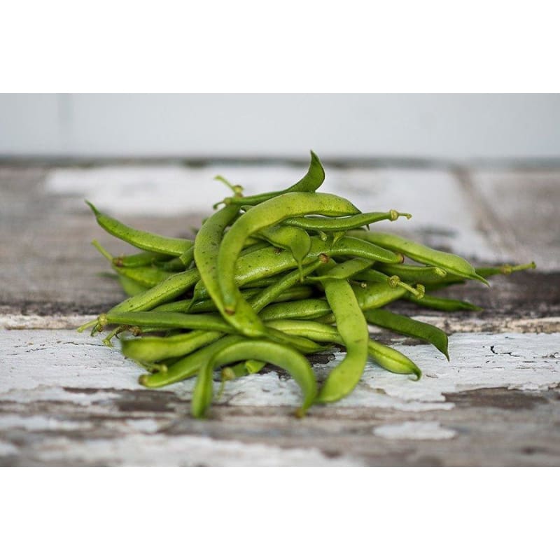 Organic Bean, Bush Jacob's Cattle (1/2 lb)