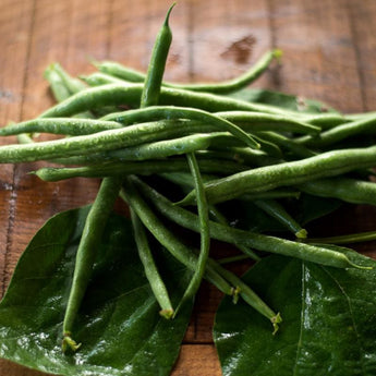 Kentucky Blue Pole Bean (62 Days) - Vegetables