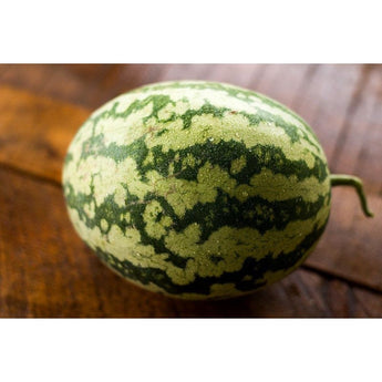 Klondike Blue Ribbon Striped Watermelon (90 Days) - Vegetables