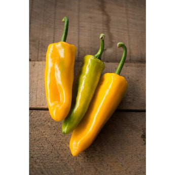 Marconi Golden Pepper (80-90 Days) - Vegetables