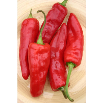 Marconi Red Pepper (80-90 Days) - Vegetables