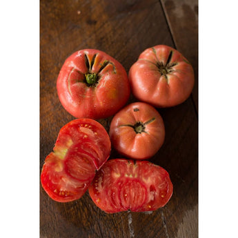 Mariannas Peace Tomato (Heirloom 85 Days) - Vegetables