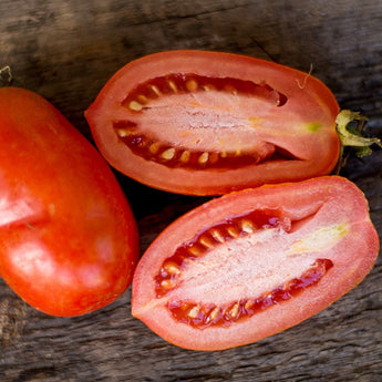 MARTINOS ROMA TOMATO (75 Days) - Vegetables