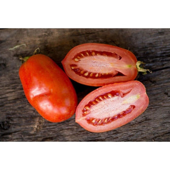 MARTINOS ROMA TOMATO (heirloom) - Vegetables