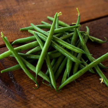 Masai Bush Bean (47 Days) - Vegetables