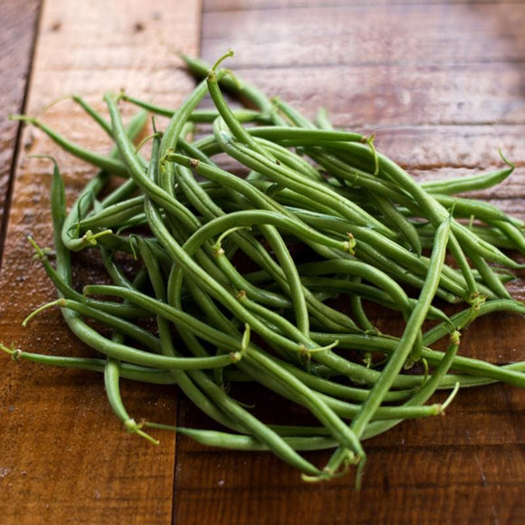 Maxibel Bush Bean (59 Days) – Pinetree Garden Seeds