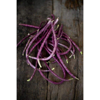 Mosaic Yard Long Bean (65 Days Heirloom) - Vegetables