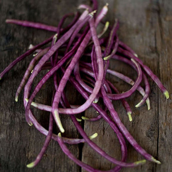 Mosaic Yard Long Bean (Heirloom 65 Days) - Vegetables