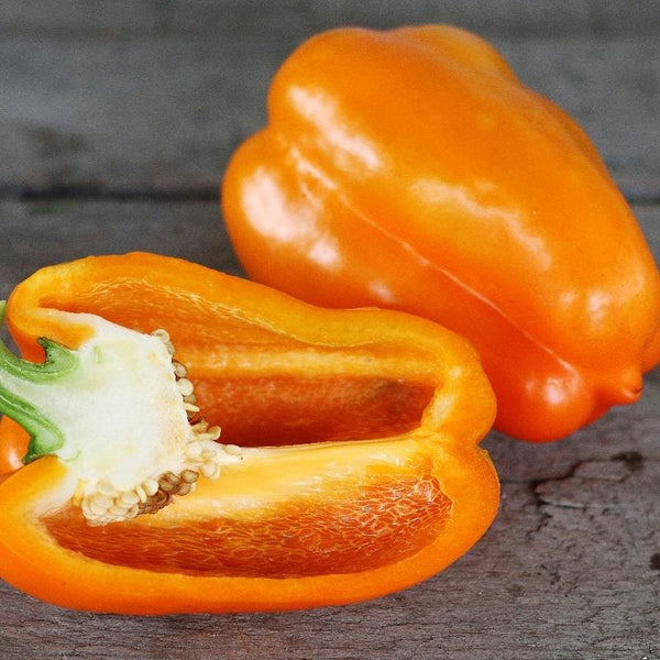 Big Red Pepper (75 Days) – Pinetree Garden Seeds