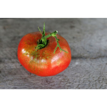 Oxheart Pink Tomato (Heirloom 80 Days) - Vegetables